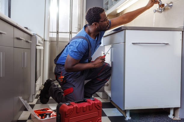 Best Commercial Plumbing Services  in Wauconda, IL